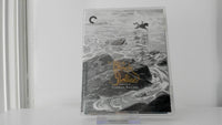 The Black Stallion [Bluray] - Criterion Collection - Used